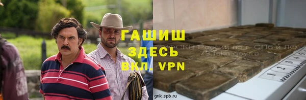 индика Нефтегорск