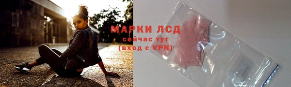 индика Нефтегорск