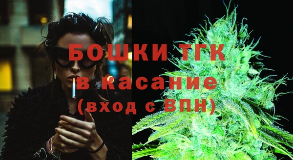 индика Нефтегорск
