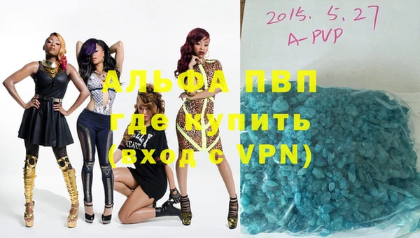 индика Нефтегорск