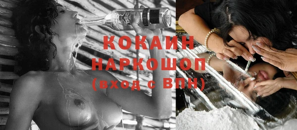 индика Нефтегорск