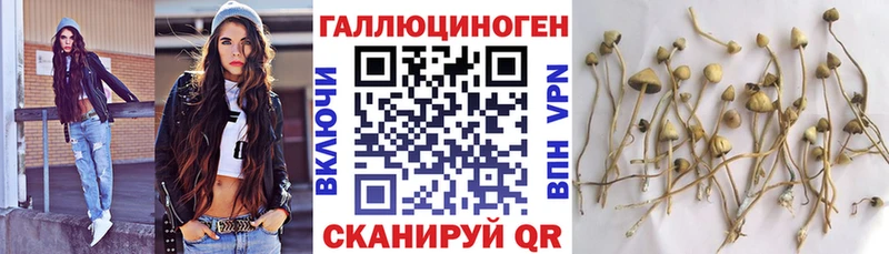 Галлюциногенные грибы мухоморы ОМГ ОМГ ТОР Магнитогорск где можно купить